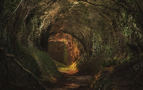 How to stimulate the A-spot? All about the AFE zone