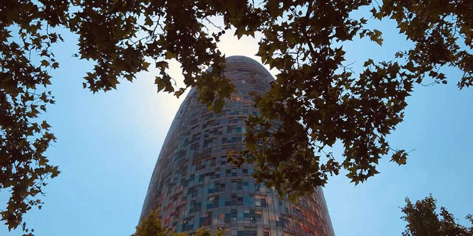 En busca de la felación perfecta