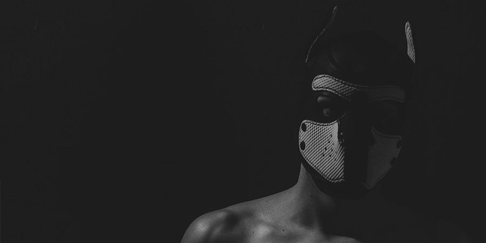 An unequivocally canine kink — your quick guide to ‘puppy play’  