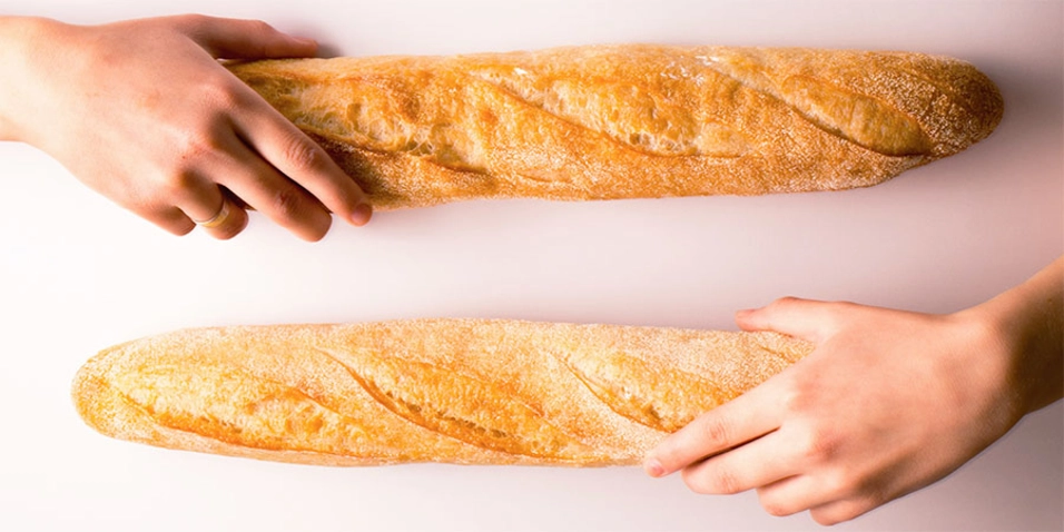 Tipos de Consoladores y Dildos