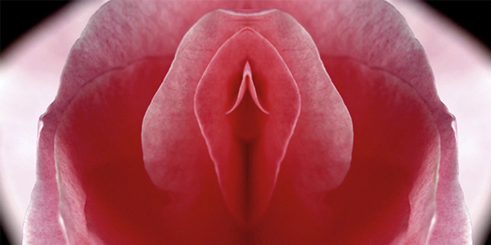 picture of post about g-spot