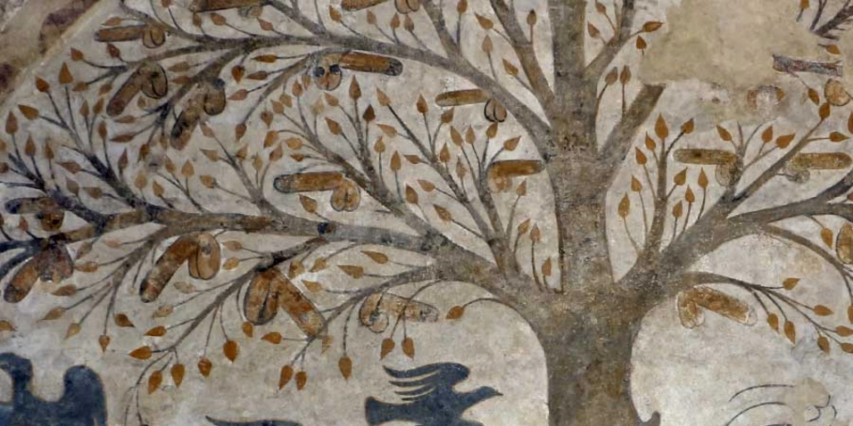 20 asombrosas curiosidades sobre el pene