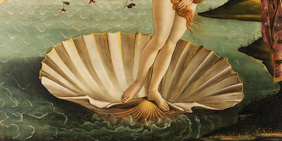 Lo que la vulva esconde: 15 cosas que deberías saber sobre tus genitales externos