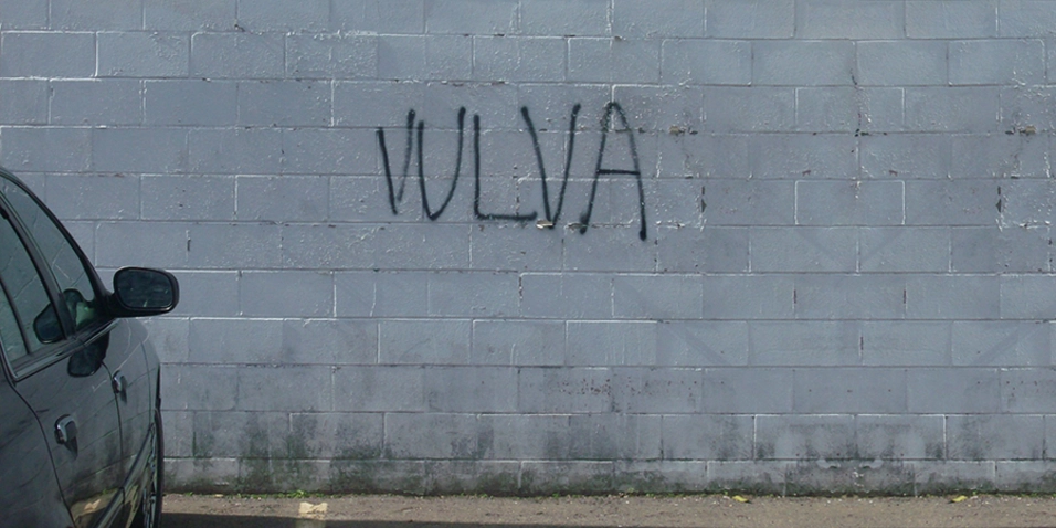 Ni chichi, ni chumino, ni pepitilla; vulva, hay que decirlo más