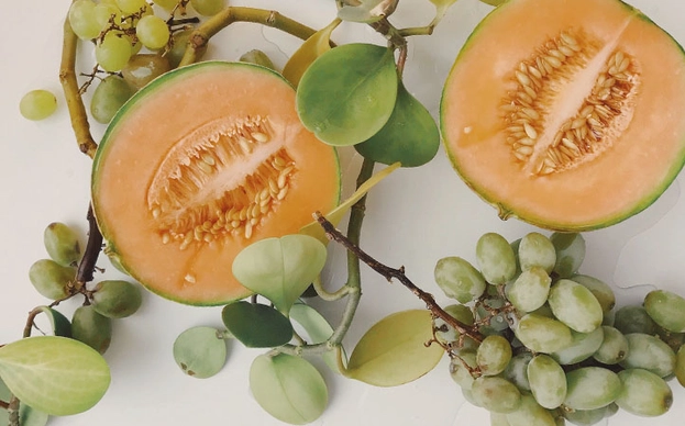 Orgías y bacanales para fornicar como si no hubiera un mañana