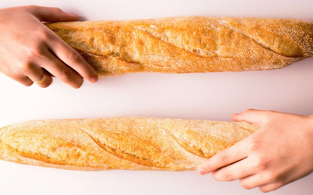 Diferentes tipos de consoladores