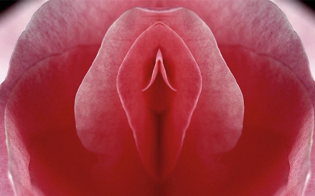 We knew about the G-spot, but what about the U-spot? And the A-spot? And the K-spot?