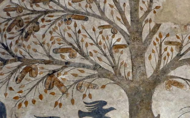 20 asombrosas curiosidades sobre el pene