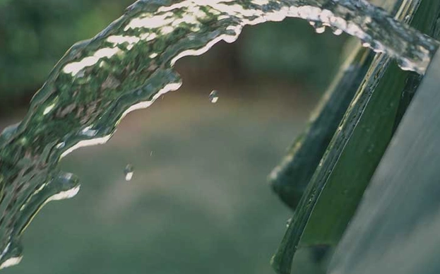 Kunyaza: the African technique for the best female orgasms