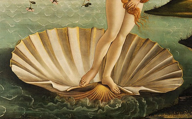 Lo que la vulva esconde: 15 cosas que deberías saber sobre tus genitales externos