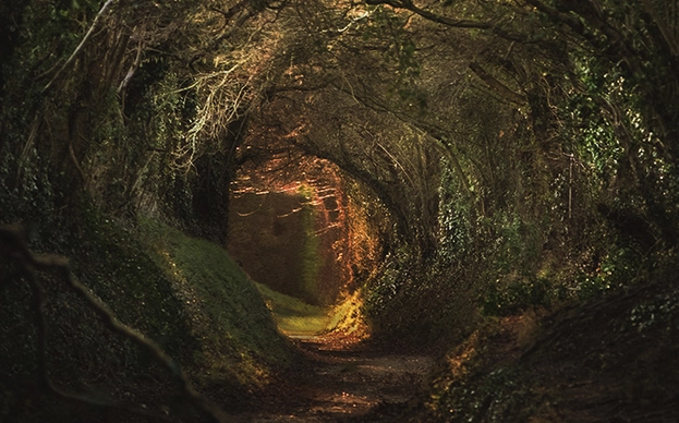 ¿Cómo estimular el Punto A? Todo sobre la zona AFE