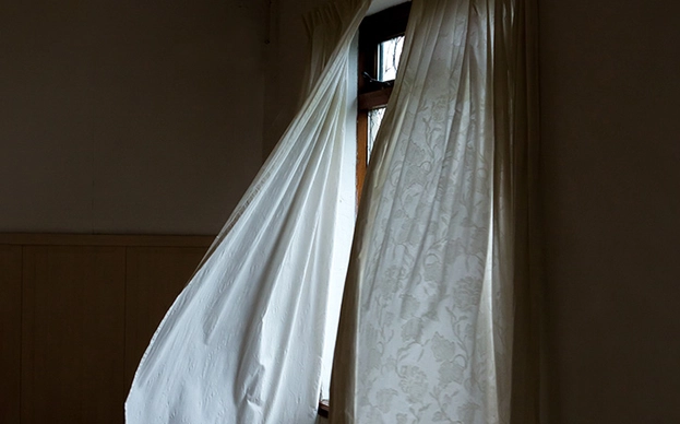  Cómo tener un orgasmo vaginal  