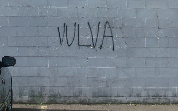 Ni chichi, ni chumino, ni pepitilla; vulva, hay que decirlo más