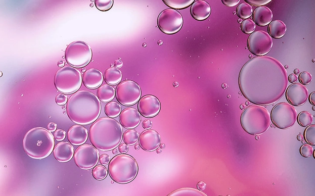 El mejor masaje erótico se consigue con Shunga